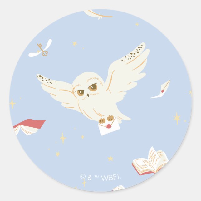 Hedwig Owl Post Letters and Books Pattern Classic Round Sticker (Front)