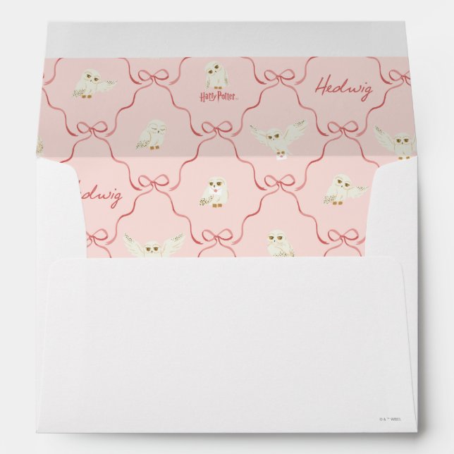 Hedwig Pink Ribbon Pattern Envelope (Back (Bottom))