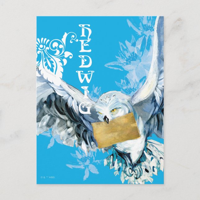 Hedwig Postcard (Front)