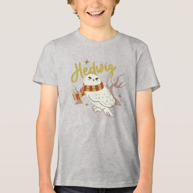 Hedwig Whimsical Forest Drawing Tri-Blend Shirt (Front)
