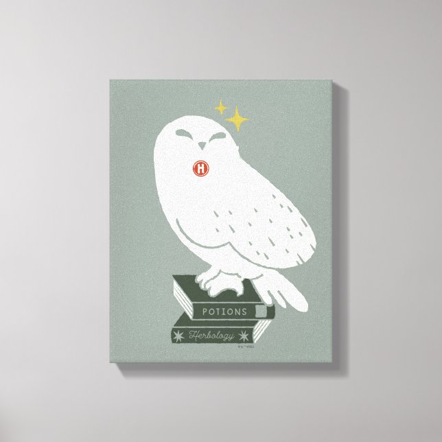 Hedwig With Letter Whimsical Drawing Canvas Print (Front)