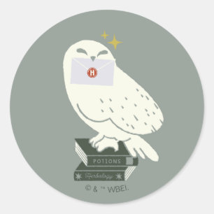 Hedwig With Letter Whimsical Drawing Classic Round Sticker