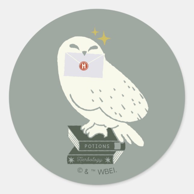 Hedwig With Letter Whimsical Drawing Classic Round Sticker (Front)