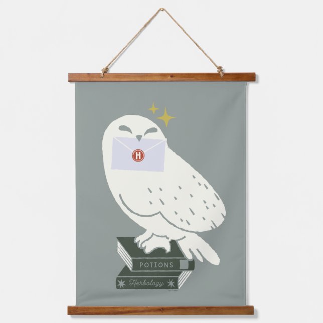 Hedwig With Letter Whimsical Drawing Hanging Tapestry (Front)