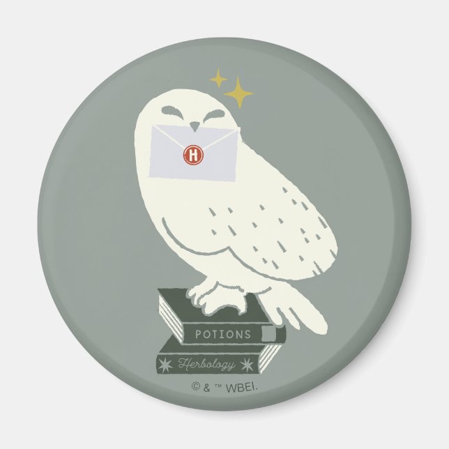 Hedwig With Letter Whimsical Drawing Magnet (Front)
