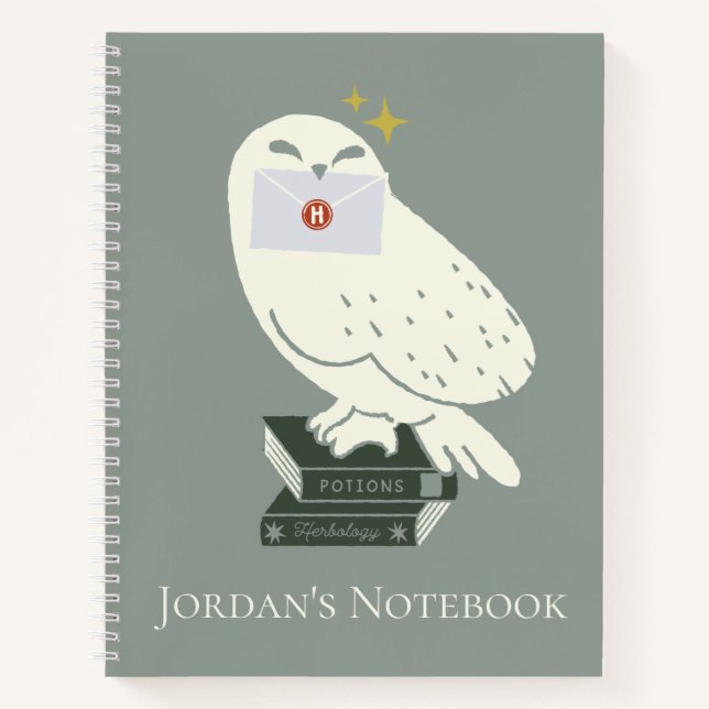 Hedwig With Letter Whimsical Drawing Notebook (Front)
