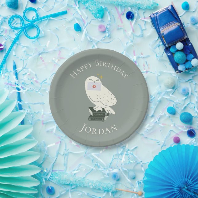 Hedwig With Letter Whimsical Drawing Paper Plate (Party)