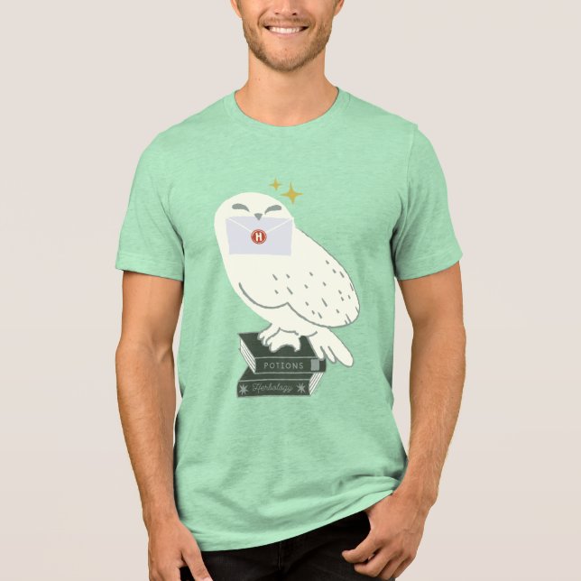 Hedwig With Letter Whimsical Drawing Tri-Blend Shirt (Front)