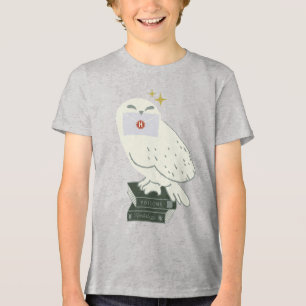Hedwig With Letter Whimsical Drawing Tri-Blend Shirt