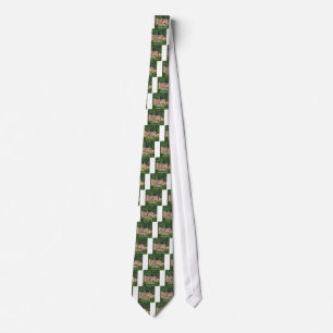 Heidelberg Castle In German & German Saying Tie