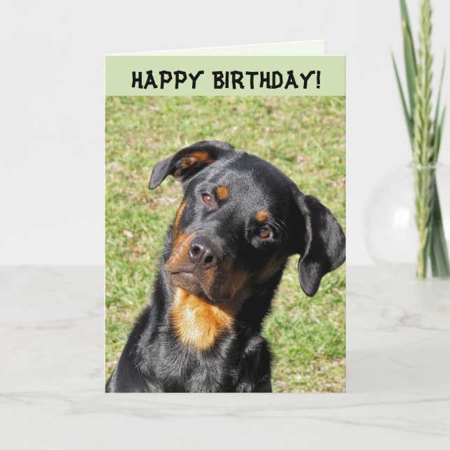 Heidi Happy Birthday Card (Front)
