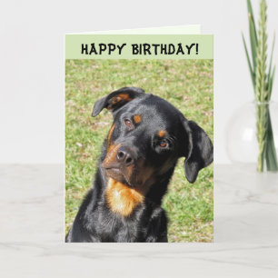 Heidi Happy Birthday Card