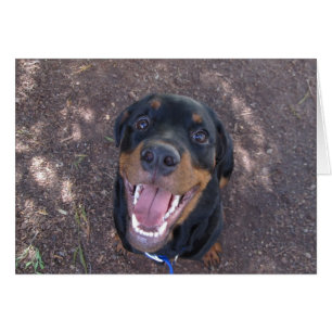 Heidi Happy Rottweiler Blank Greeting Card