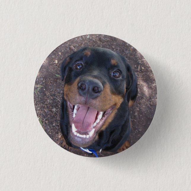 Heidi Happy Rottweiler Button (Front)