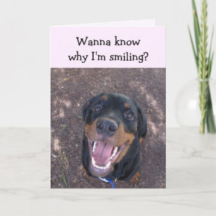 Heidi Happy Rottweiler Valentine's Day Card