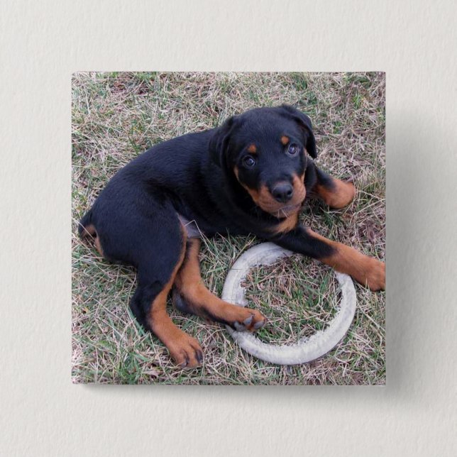 Heidi Rottweiler "Innocent" Button (Front)