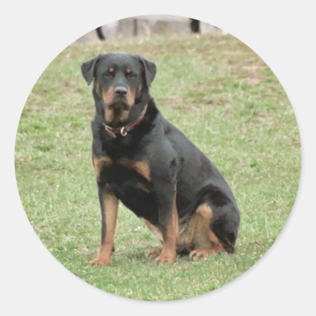 Heidi Sticker (Front)