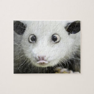 Heidi The Cross Eyed Opossum Jigsaw Puzzle
