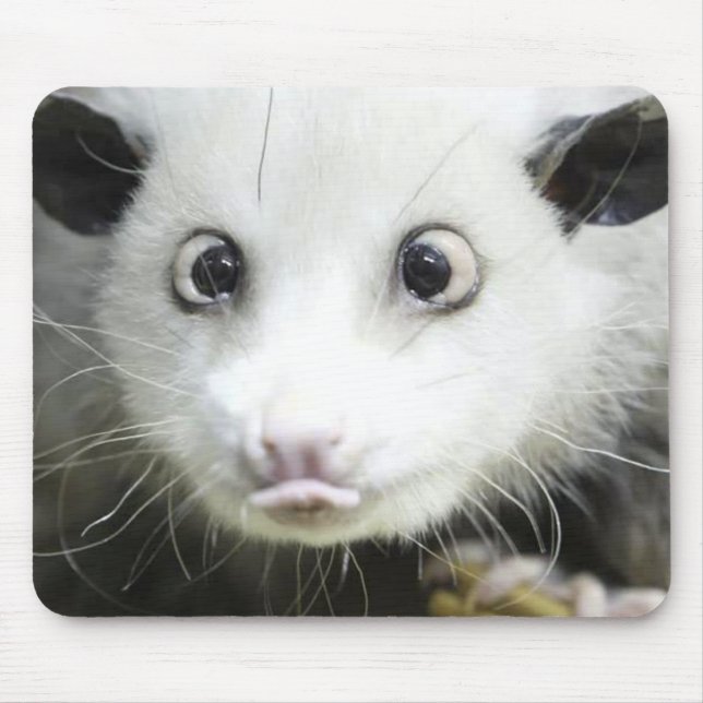 Heidi The Cross Eyed Opossum Mouse Mat (Front)