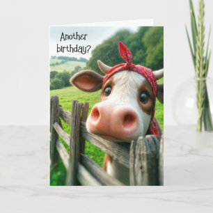 Heifer Cow Birthday Humour Card