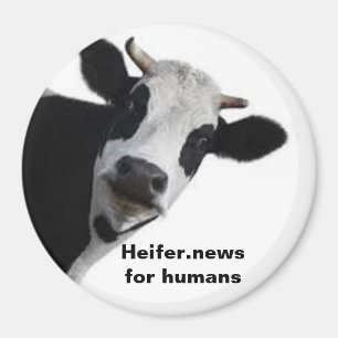 Heifer.news for humans magnet