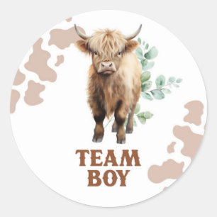 Heifer or Bull Cow Team Boy Sticker