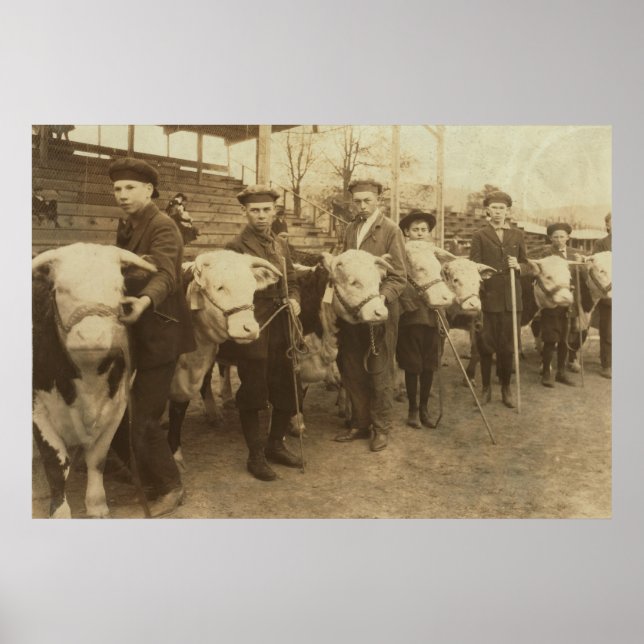 Heifers Poster (Front)