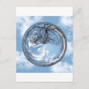 Heights of Heaven with  tree, clouds , sky, bubble Postcard