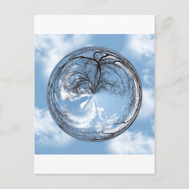 Heights of Heaven with  tree, clouds , sky, bubble Postcard (Front)