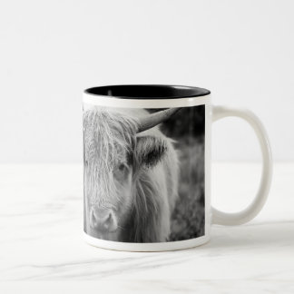 Heilan'  Coo Mug