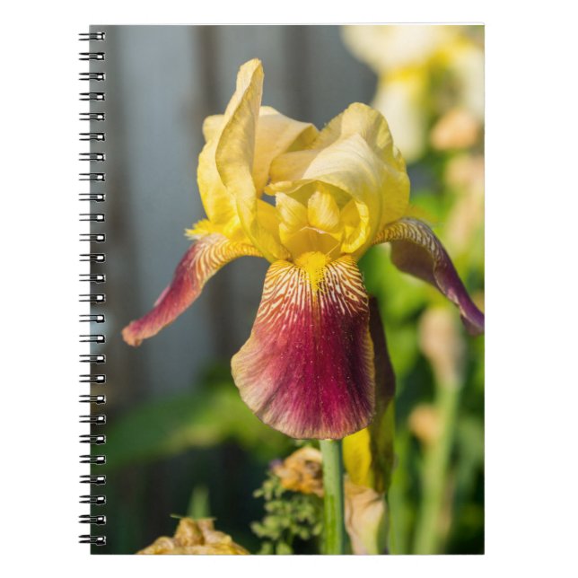 Heirloom Iris Notebook (Front)