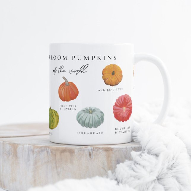 Heirloom Pumpkins Two-Tone Coffee Mug (Creator Uploaded)