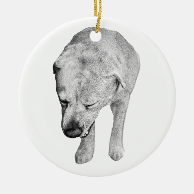 Heirloom Shading, Labrador Keepsake Ceramic Tree Decoration (Front)