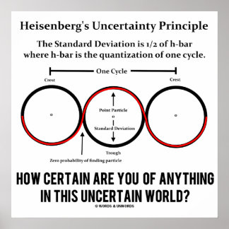 Heisenberg's Uncertainty Principle Physics Humour Poster