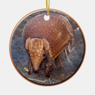 Helaine's Armadillo Ceramic Tree Decoration