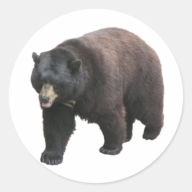 Helaine's Bear Classic Round Sticker (Front)