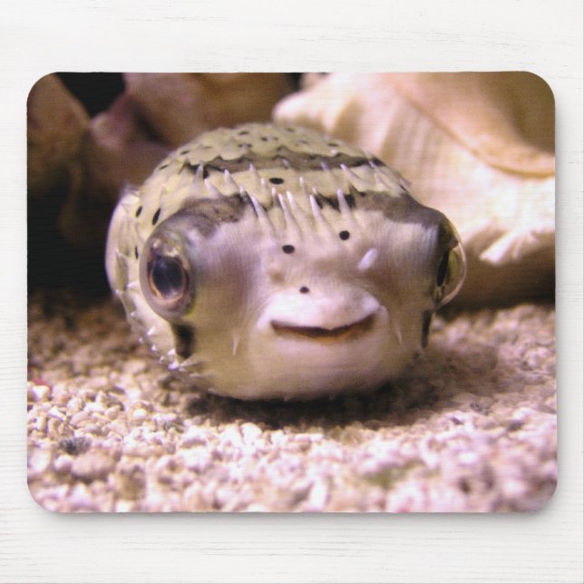 Helaine's Blowfish Pufferfish Mouse Mat (Front)