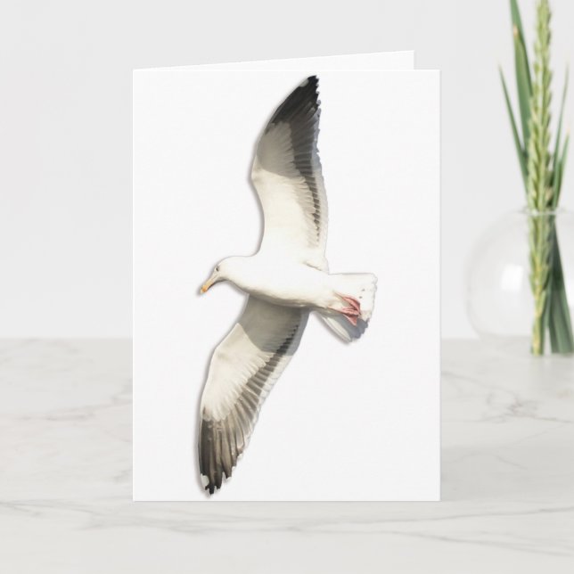 Helaine's Soaring Seagull Card (Front)