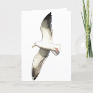 Helaine's Soaring Seagull Card