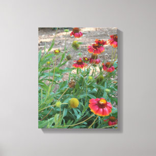 Helenium flowers canvas print