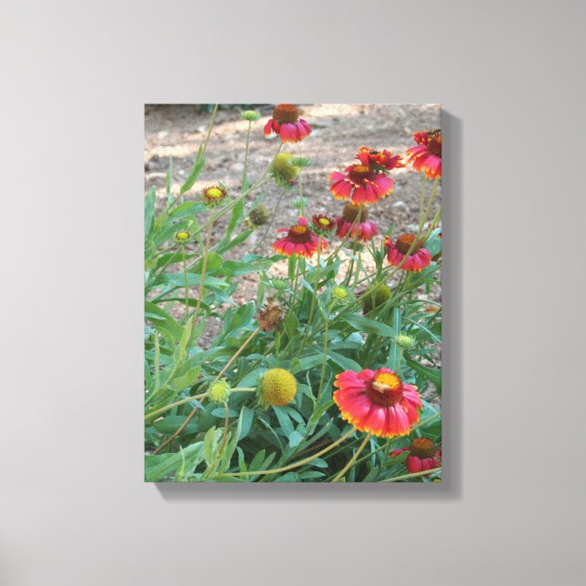 Helenium flowers canvas print (Front)