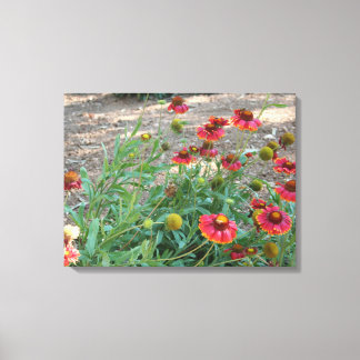 Helenium flowers canvas print