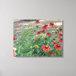 Helenium flowers canvas print