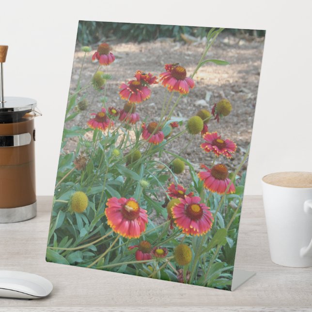 Helenium flowers pedestal sign (In SItu)