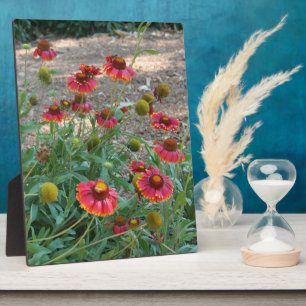 Helenium flowers plaque