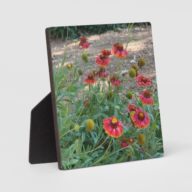 Helenium flowers plaque (Front)