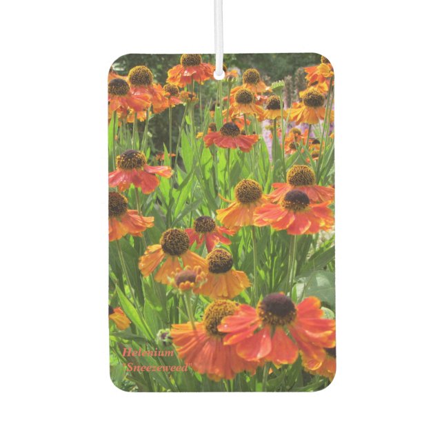 Helenium "Sneezeweed" Car Air Freshener (Front)