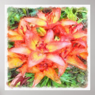 Helen's Coral Coloured Lilies Watercolor Poster