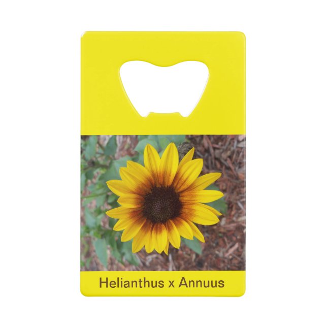 Helianthus Annuus bottle opener (Front)