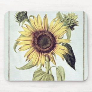 Helianthus Annuus from 'Velins du Roi Vol.36' Mouse Mat